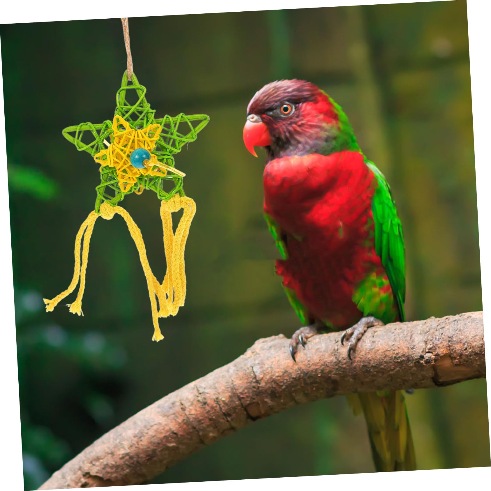Housoutil 9pièces Jouets De Confort pour Oiseaux De Compagnie Jouets Suspendus à Mâcher pour Perroquets Et Oiseaux Accessoires Amusants pour Animaux Domestiques