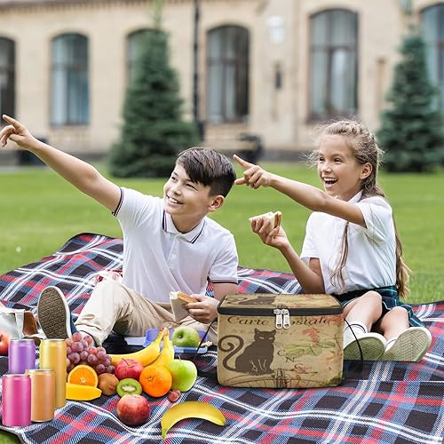 Miniatura 3 de Bolsa de almuerzo con aislamiento de gato retro para mujer, reutilizable, bolsa cuadrada de comida para adultos y hombres, lonchera más fresca para