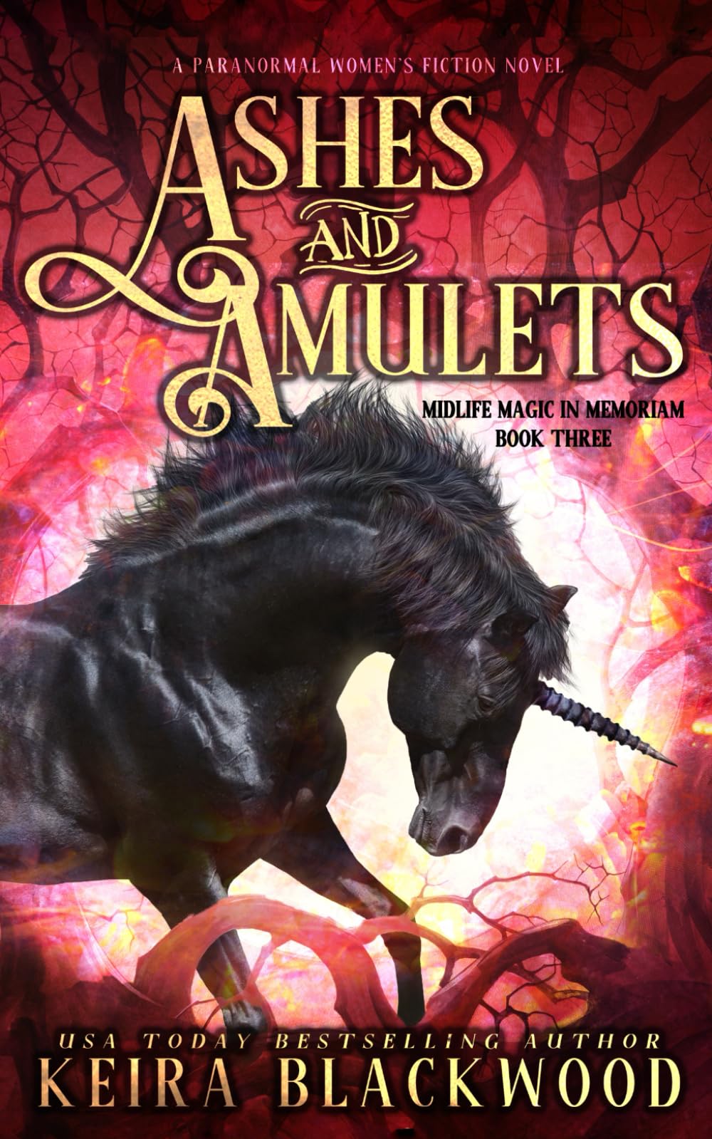 Ashes and Amulets: A Paranormal Women's Fiction Novel (Midlife Magic in Memoriam)