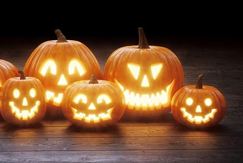 Miniatura 2 de Jack O' Lantern - Semillas de calabaza para plantar  Más de 20 semillas  Cultiva calabazas perfectas para linternas Jack O' -