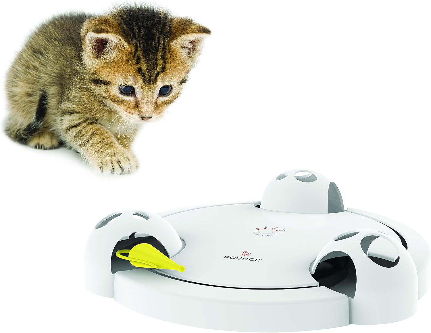 PetSafe Pounce Cat Toy, Interactive Automatic Toy for Cat or Kitten, Adjustable Electronic Battery Operated Toy
