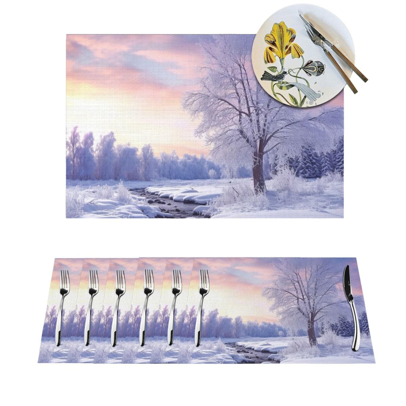 Lot de 6 sets de table lavables pour repas intérieur extérieur