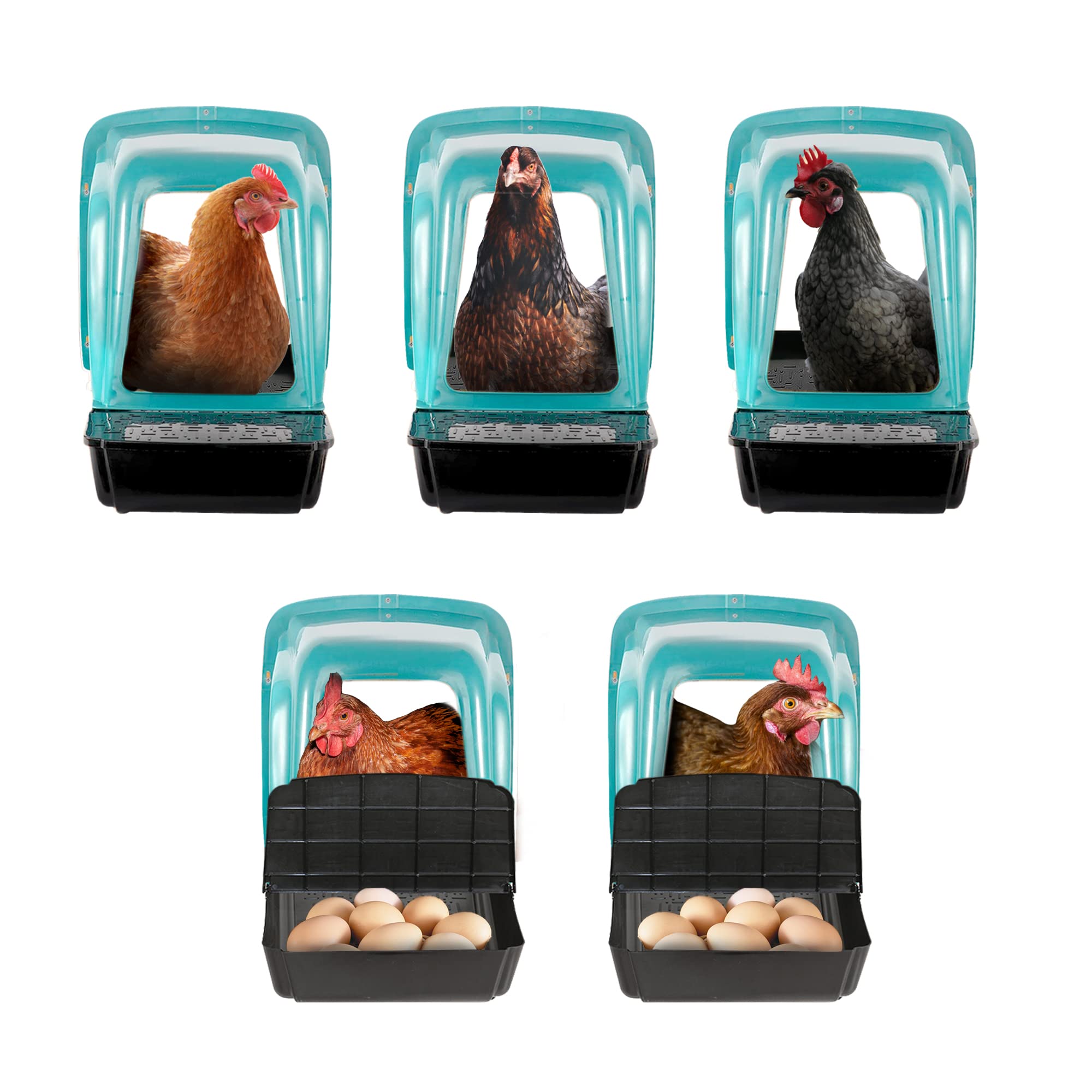 Tossca Nesting Boxes for Chicken Coop Roll Away Hen House for Laying