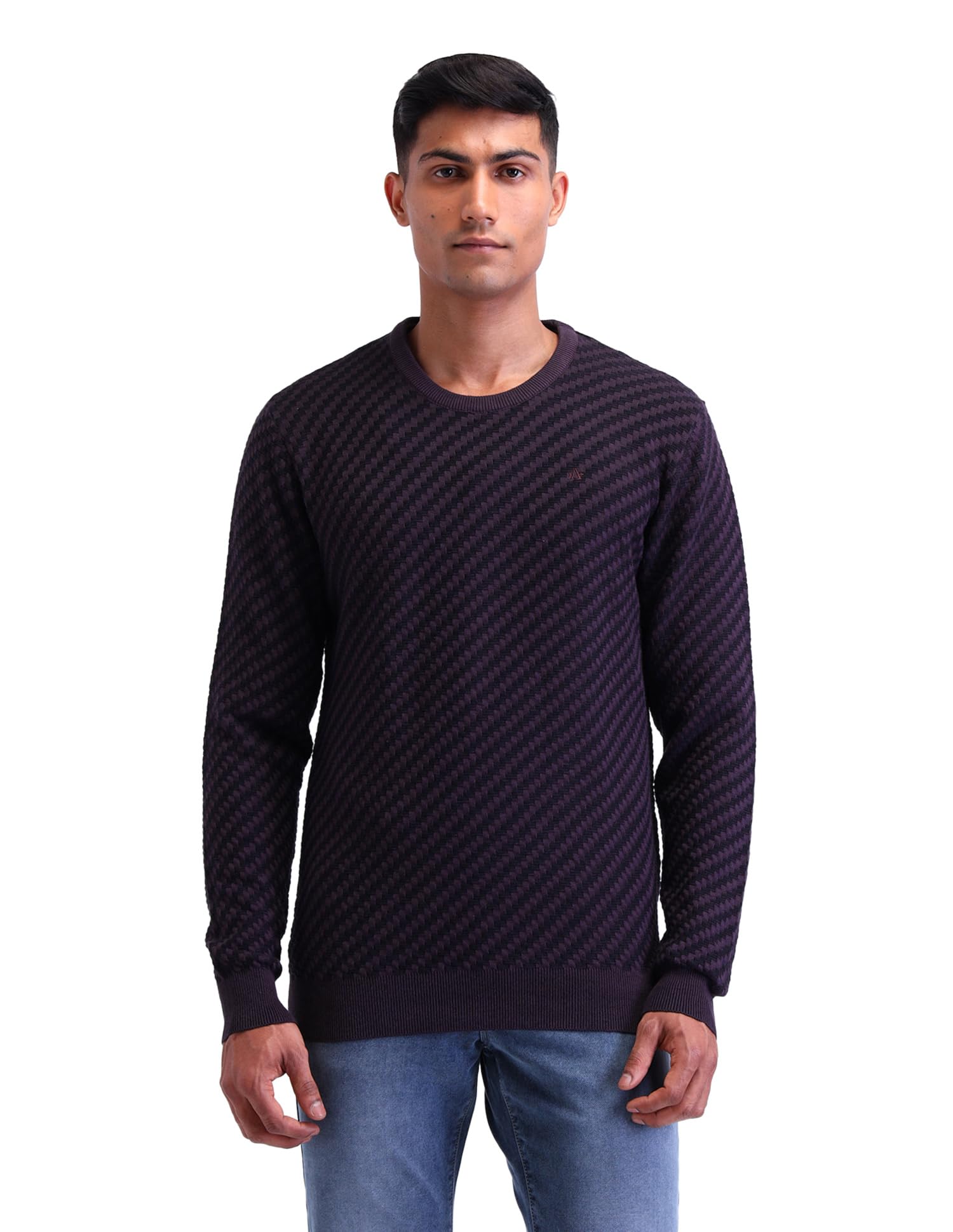 Mens Purple Self-Design Crew Neck Long Sleeve Casual Cotton Regular Fit Sweater-image-19