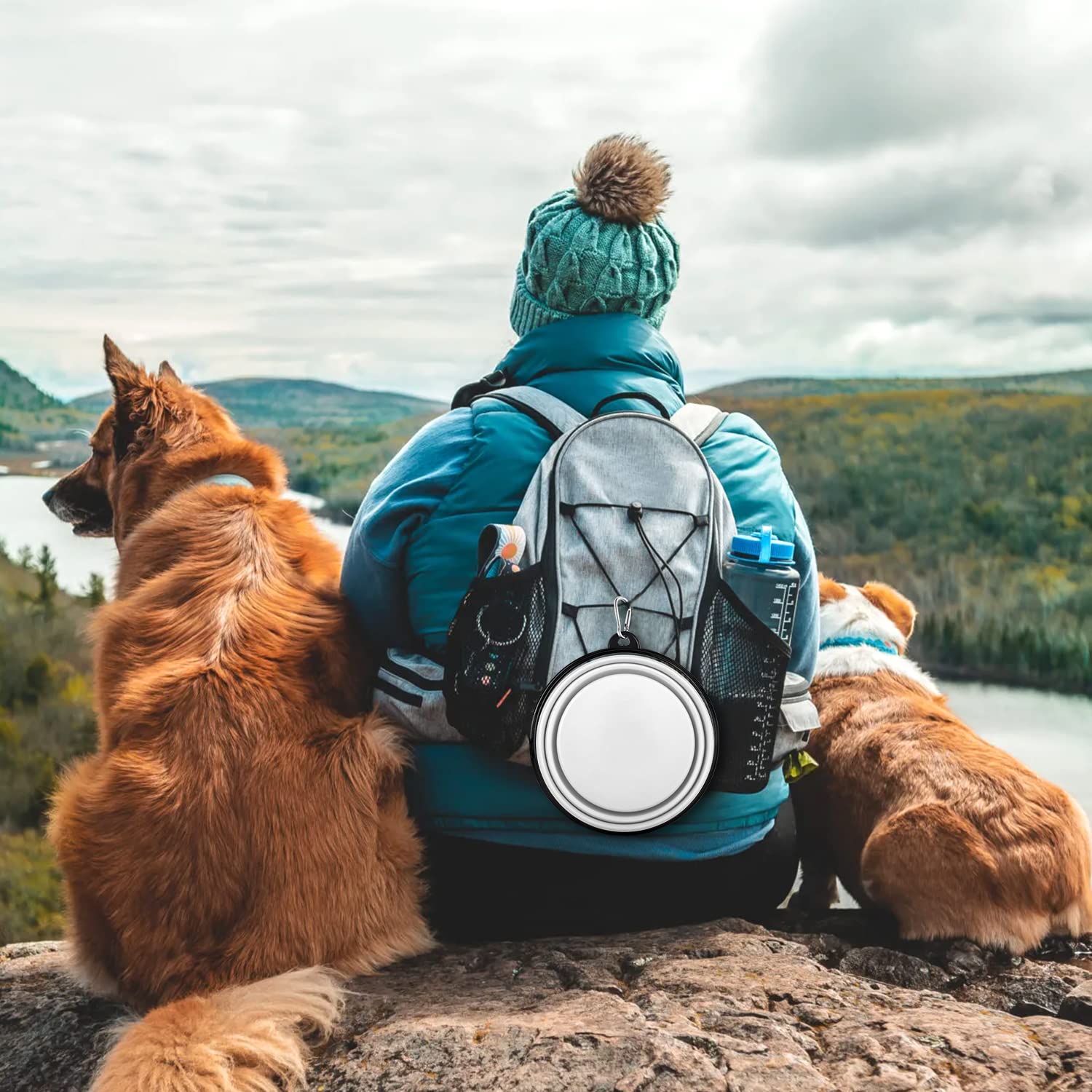 Cuenco plegable para perros, ligero y portátil, ideal para exteriores, camping, senderismo, adecuado para perros
