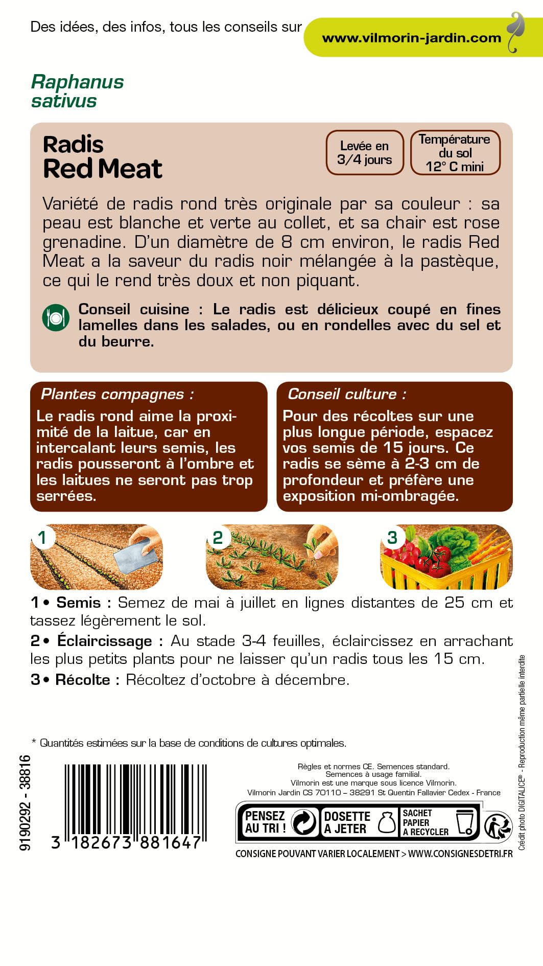 Image secondaire de Graines de Radis Red Meat - Original et Doux