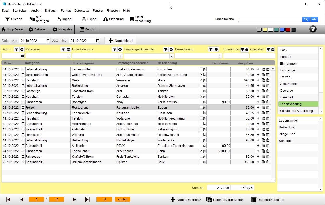 DIGeS Haushaltsbuch Software, Einnahmen- und Ausgabenverwaltung, für Windows 8/10/11, mit Import- und Exportfunktion