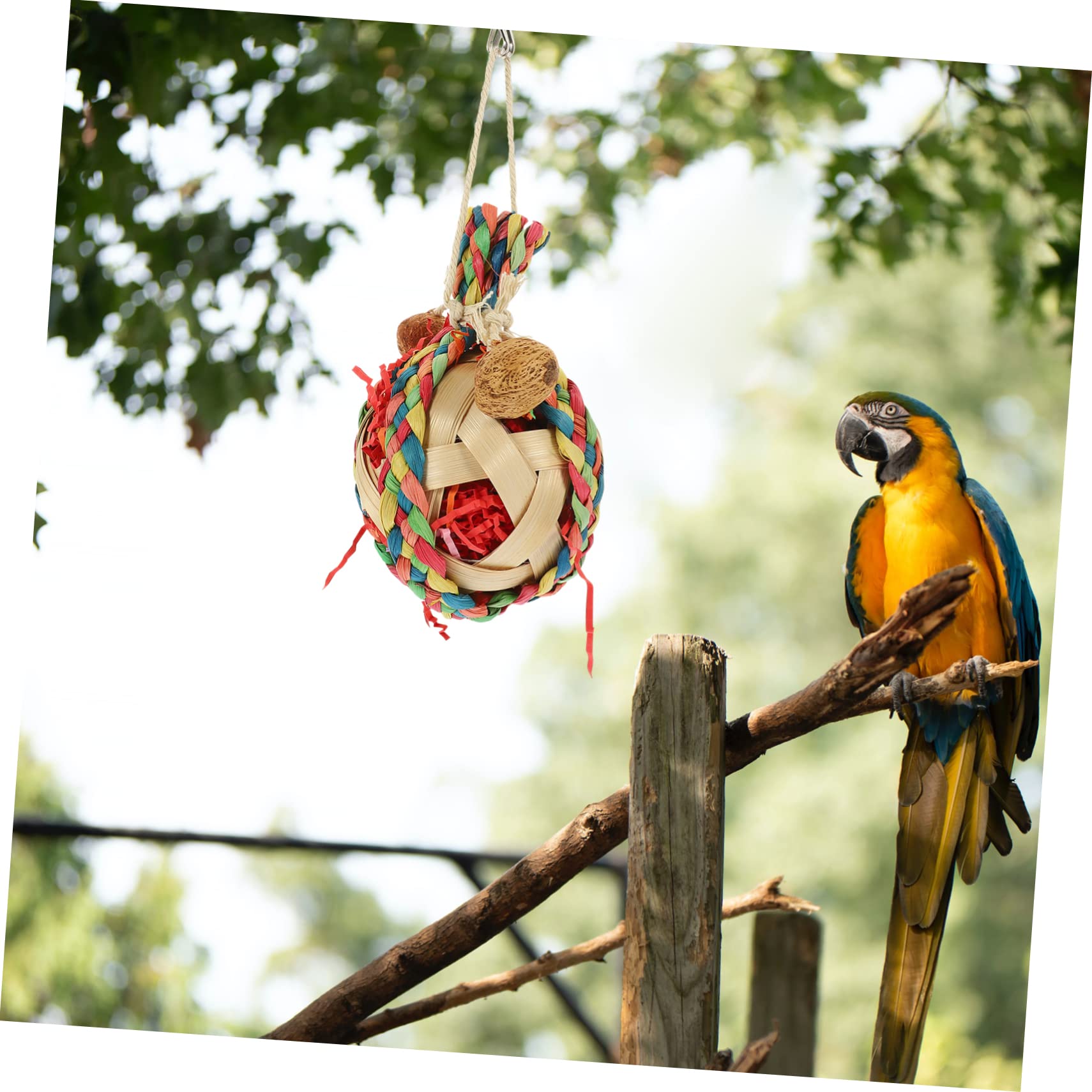 VANZACK 5pezzi Giochi Per Pappagalli Naturale Giocattolo Da Appendere Per Uccelli Sicuro e Resistente Accessorio Divertente Per Pappagalli e Altri Uccelli Design Decorativo Per Gabbie e