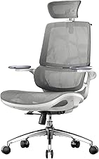 [34% off] SIHOO M59AS Ergonomic Office Chair, Desk Chair with 3D Flip-up Armrests, Computer Chair with Dual Back Design and Adaptive Dynamic Lumbar Support