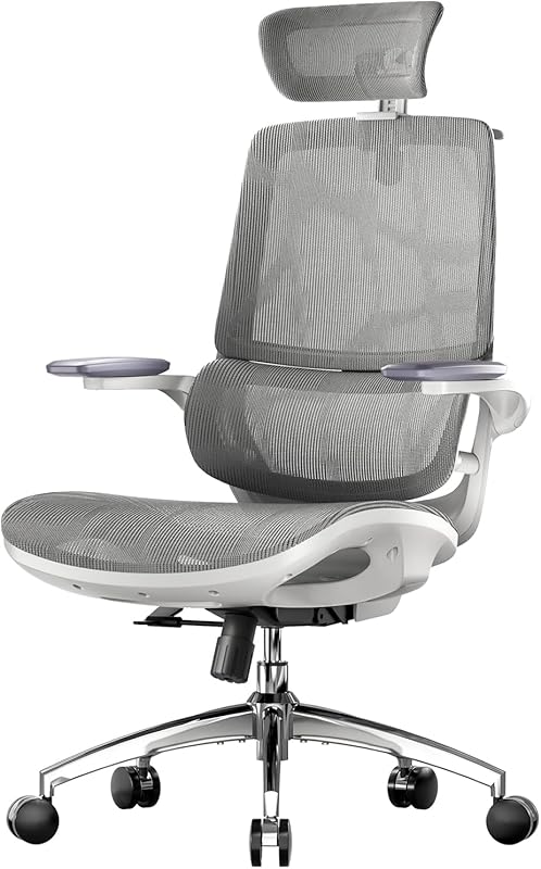 SIHOO M59AS Chaise de Bureau Ergonomique, avec accoudoirs 3D relevables, Double Dossier, Soutien Lom