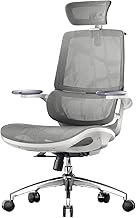 SIHOO M59AS Ergonomic Office Chair with 3D Lifting Armrests, Double Back, Adaptive Dynamic Lumbar Support and Mesh, Ideal for Home Office.