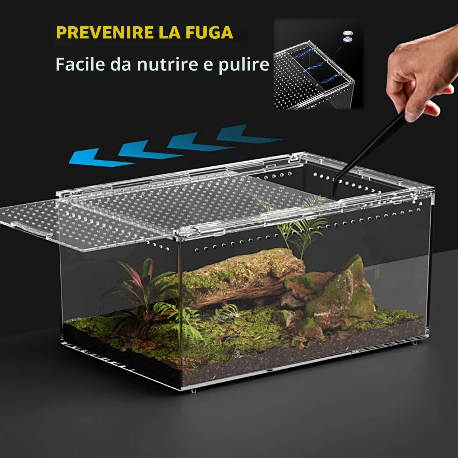 reptile tank【Nessun assemblaggio】 Recinzione per rettili con pulsante magnetico.30 x 20 x 15 cm Gabbia per recinzione per serpenti addensati, vasca per l'allevamento di rettili impilabile