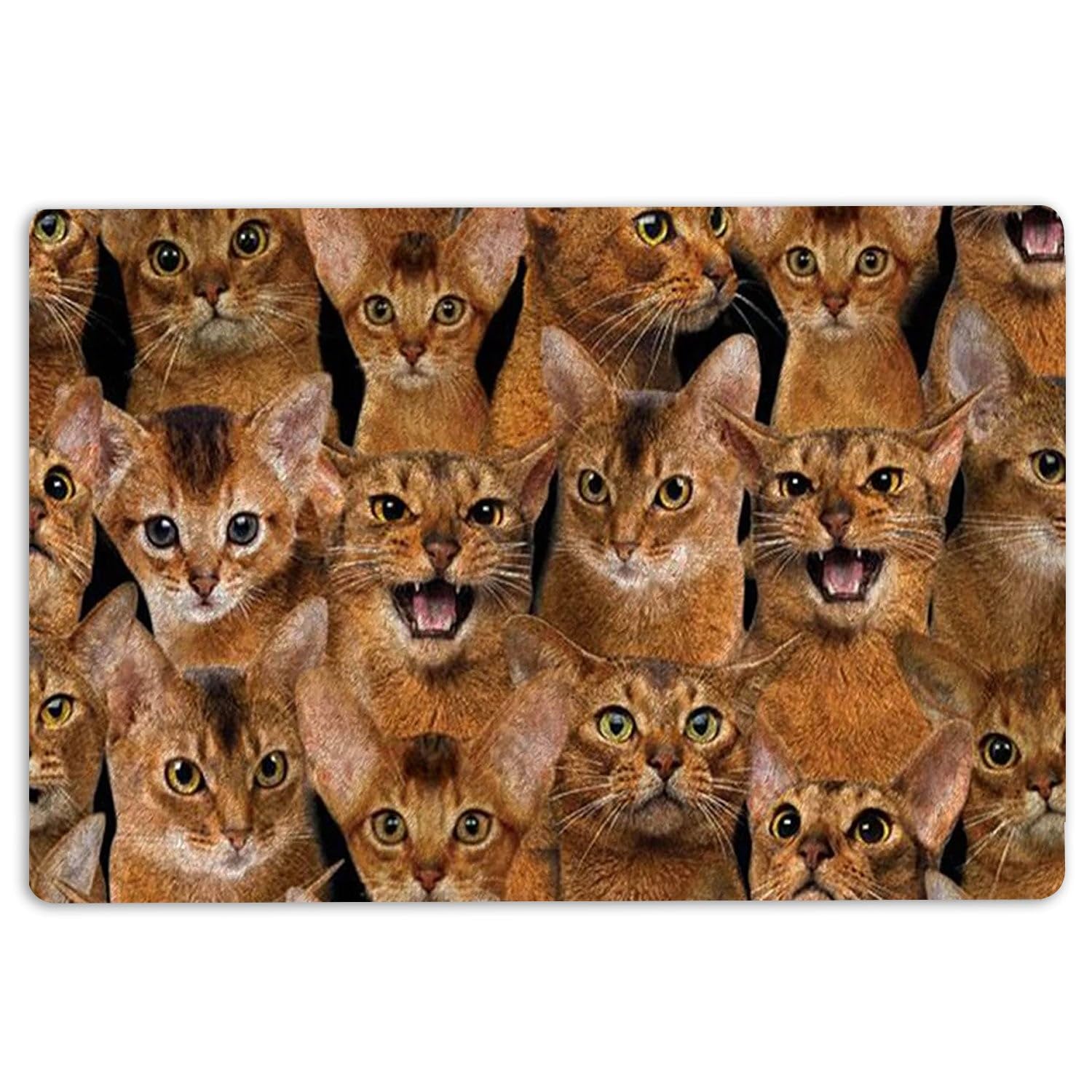 40X60Cm Door Mat A Bunch Of Abyssinian Cats Cat Pattern Welcome Mat Mud Resistant Outdoor Mat Absorbent Door Matt Indoor For Hall Entry Indoor