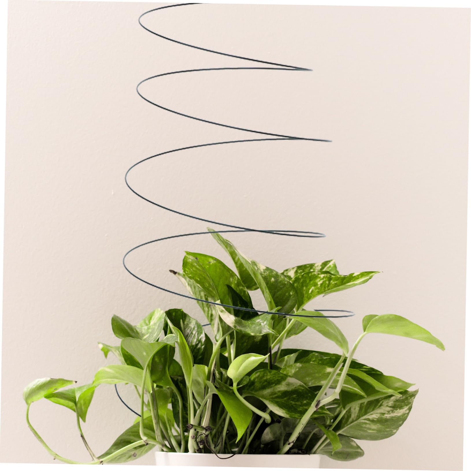 Yardwe Edelstahl Pflanzenstütze Spiralförmig 2 Stück Für Garten Balkon Terrassen Robuste Kletterhilfe Für Tomaten Gemüse Rankpflanzen Mit Glatter Oberfläche