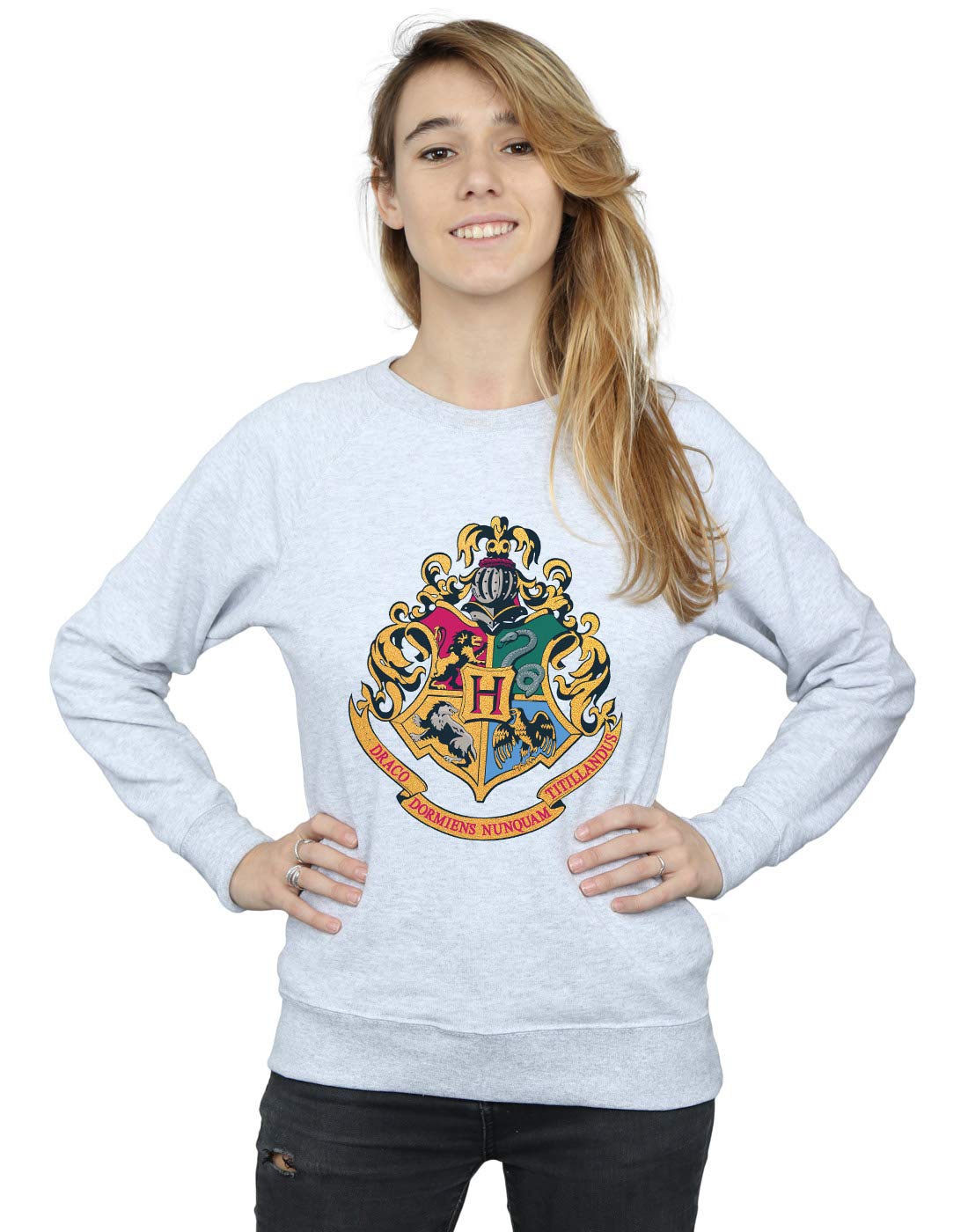 Harry Potter Hogwarts Crest Gold Ink Sweatshirt Grey M