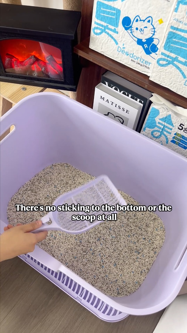 Amazon.com : Unscented Tofu Cat Litter Clumping 7.9LB x 1bag, 5-in