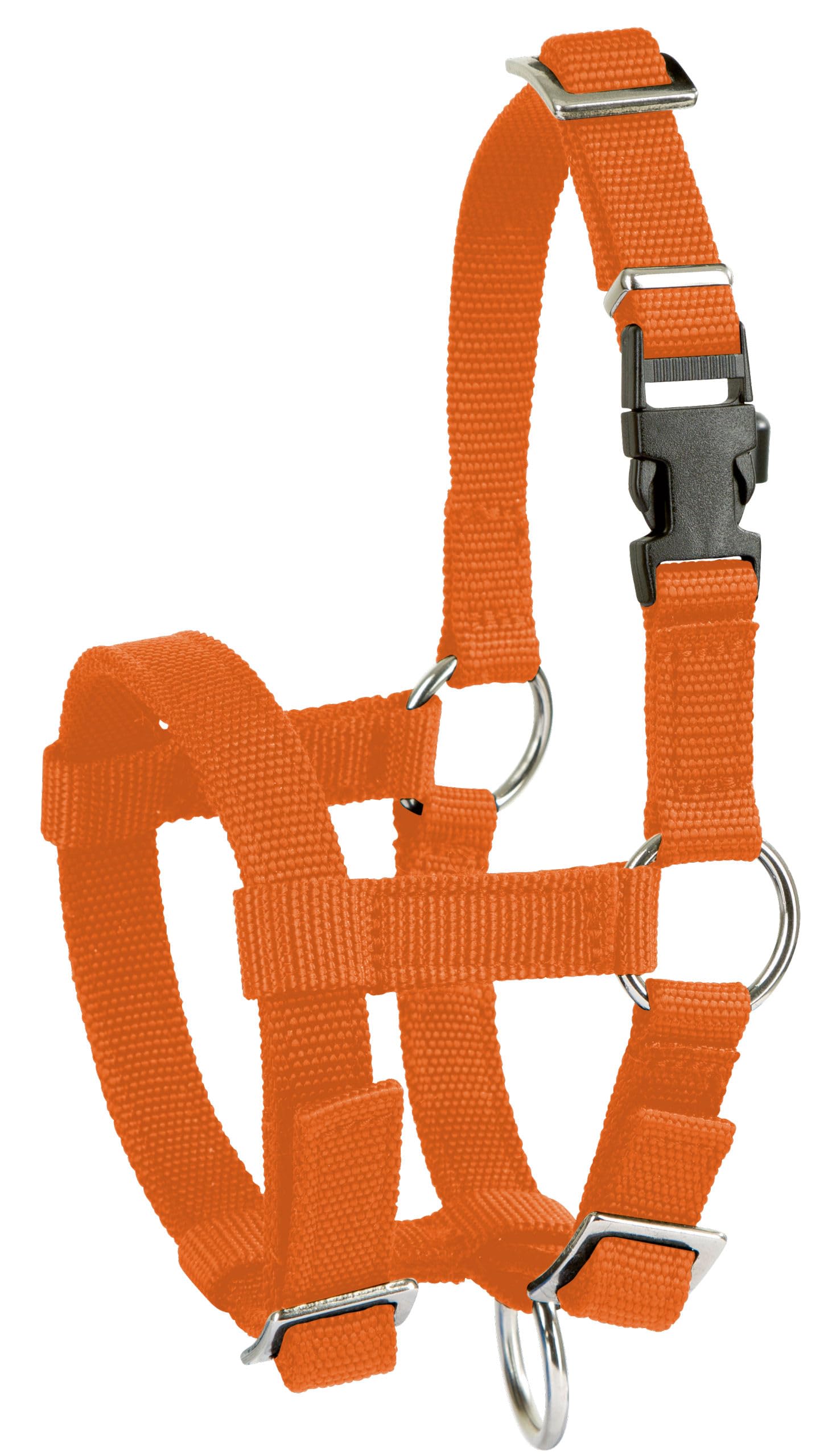 Kerbl Alpaca Headcollar Adjustable - Orange (Dimensions 17 x 18 x 4.5 cm, Weight 0.1 kg, Material 20 mm Polypropylene) 27190