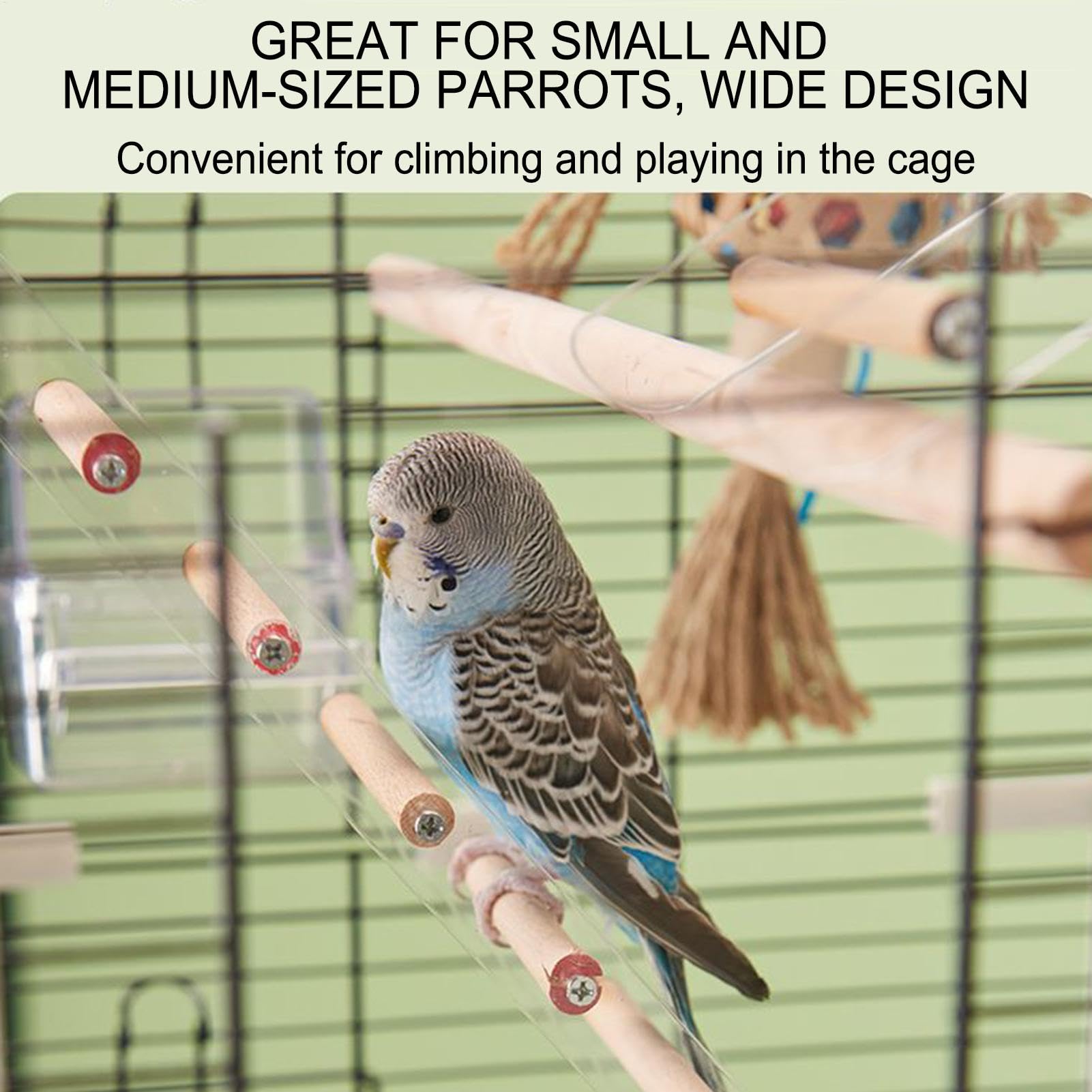 Échelle de Perroquet, échelle de Perruche | Étape Perche pour la Cage - Échelle d'oiseau avec Crochet Rotatif à 360 ° pour perroquets parakets à pochets à Poche