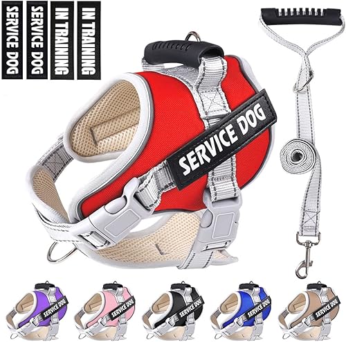 Chaleco de servicio para perro, arnés para perro de servicio de entrenamiento sin tirones y correa de 5 pies, chaleco ajustable de nailon