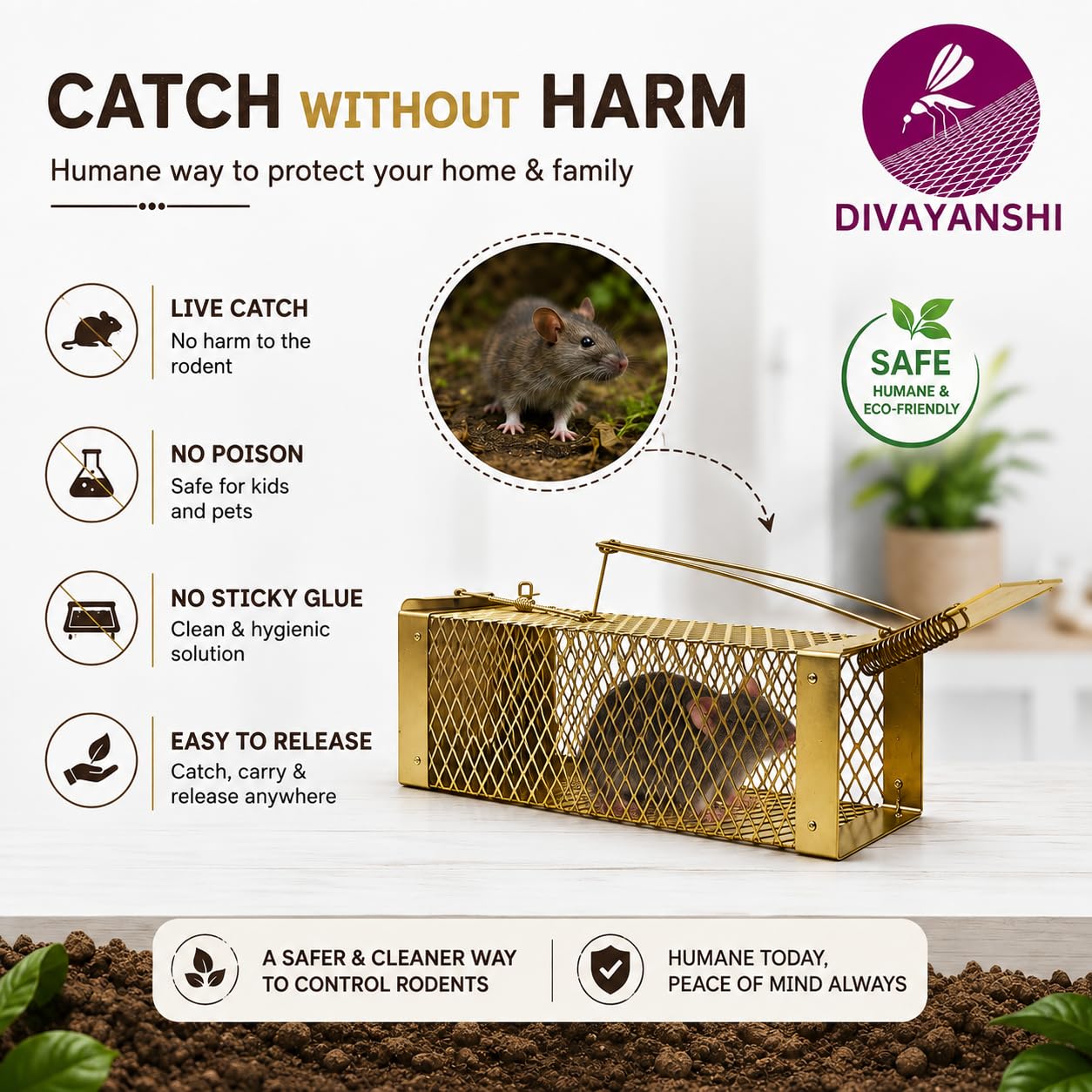 Divayanshi Rat Trap - Humane Rodent Catcher -4
