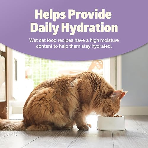 Miniatura 7 de Blue Buffalo Freedom Grain Free - Alimento húmedo natural en paté para adultos, latas de pollo de interior de 3 onzas (paquete de 24)