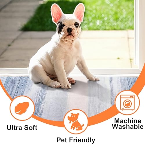 Miniatura 4 de CRISTGEE Alfombra para Puerta, Alfombra Interior para Puerta Delantera de Lana Sintética Antideslizante Tapete de Entrada Absorbente Abstracto para