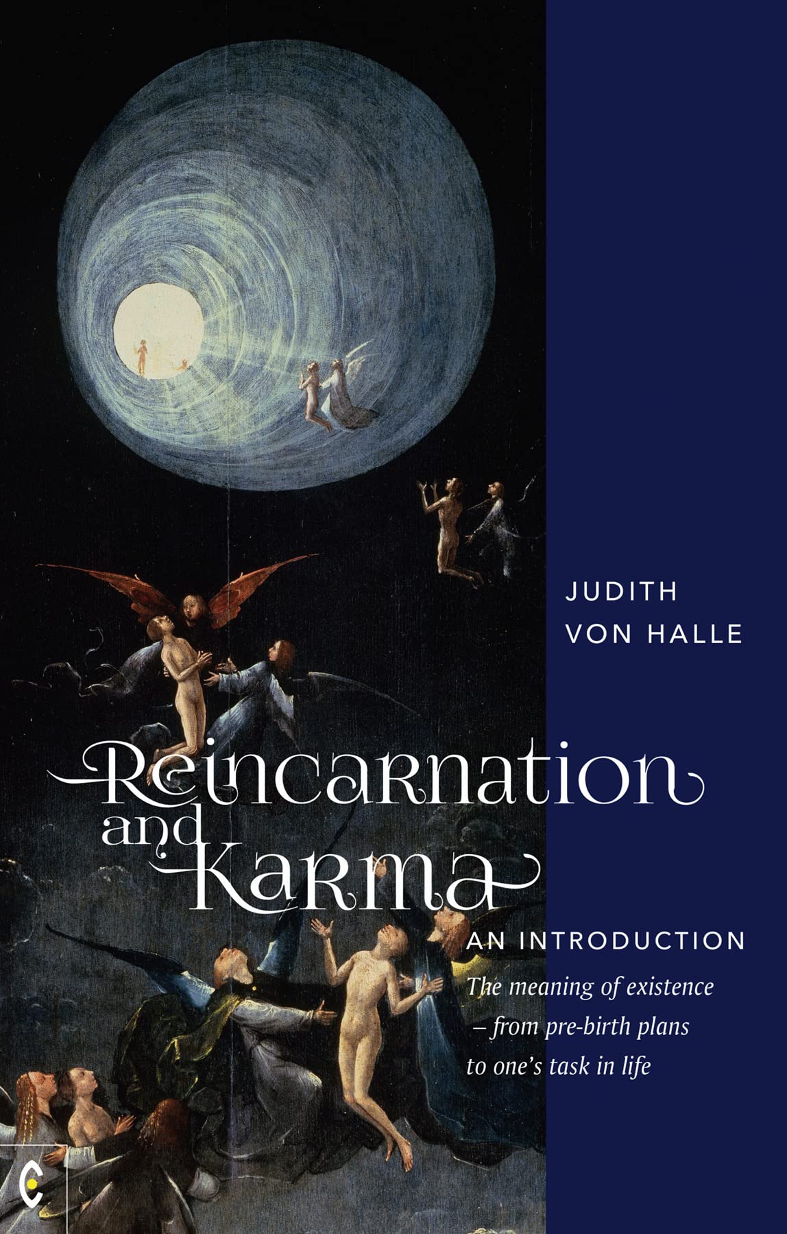 Reincarnation and Karma, An Introduction: The meaning of existence - from pre-birth plans to one's task in life