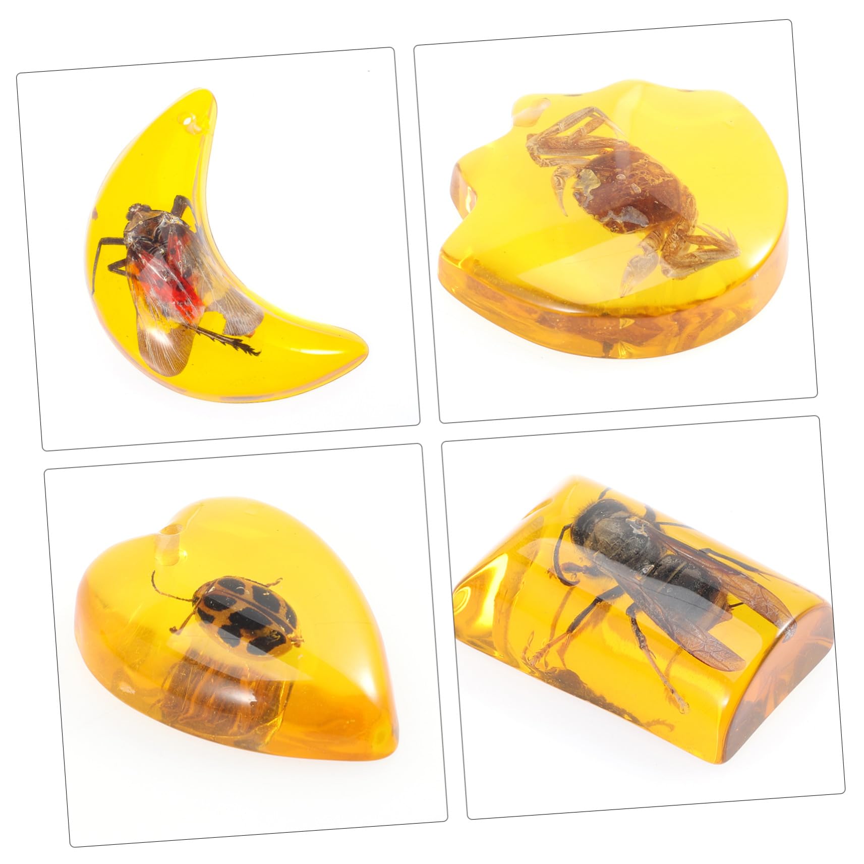 Ciieeo 10 Stück Teiliges Bernstein insekten Fossile Insekten für Edukatives DIY Archäologischen Entdeckung Einzigartige Schmuckanhänger für Bastelprojekte
