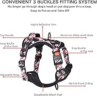 Vista 64 de Petmolico - Juego de arnés para perro sin tirones, 2 correas de sujeción con asa de fácil control, chaleco reflectante para razas pequeñas, arnés