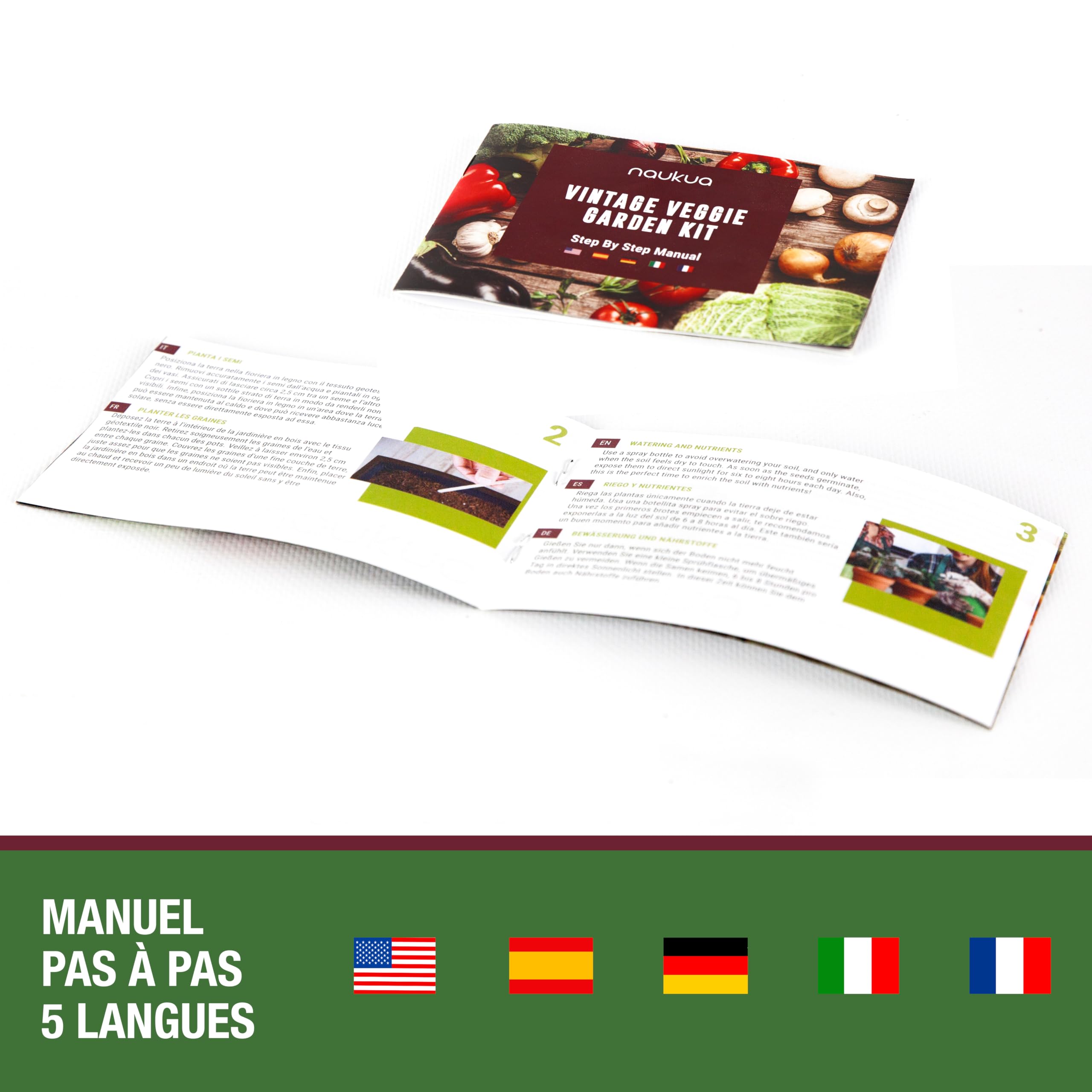Kit Vintage Prêt à Pousser (Laitue, Radis, Piment Vert & Tomates) - Graines Bio cultivées en Espagne- Livret d'Instructions Étape par Étape - Potager d'Intérieur pour cultiver Vos Légumes à la Maison