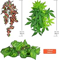 Vista 2 de KATUMO Plantas de reptiles, 3 plantas colgantes de anfibios con ventosa para serpientes, dragones barbudos, lagartos, geckos, sapos, tanque