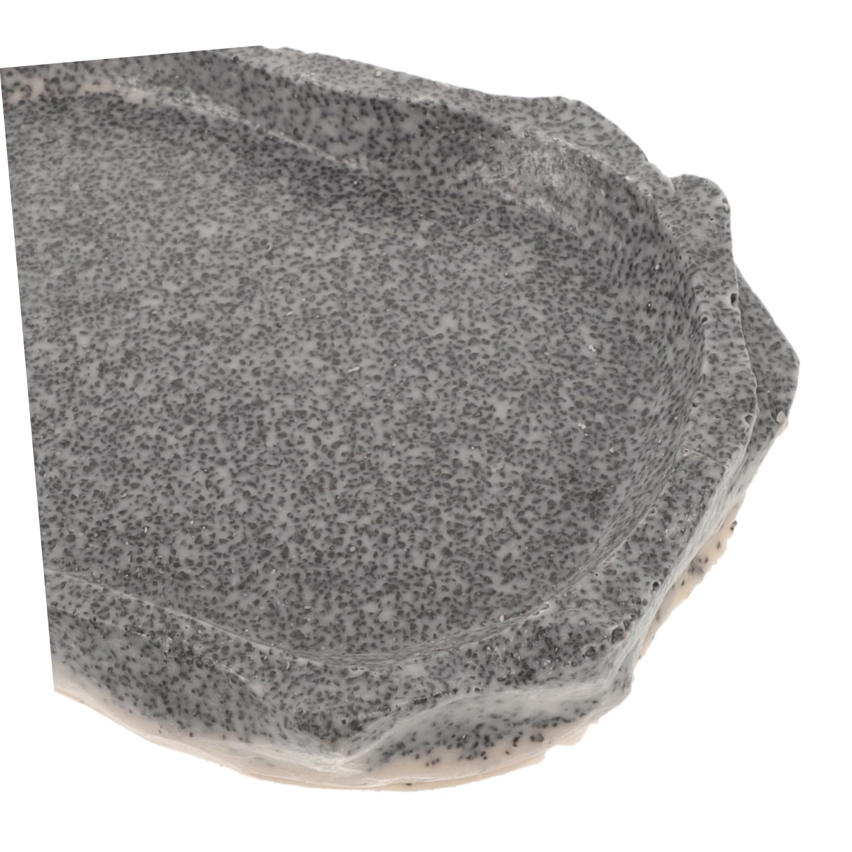 POPETPOP 5 Piezas Cuenco para Mascotas Alimentador Agua Plato Agua Tortuga Cuenco Plato Agua Comida Reptil Plato Agua Reptil Animal Placa Petri Resina