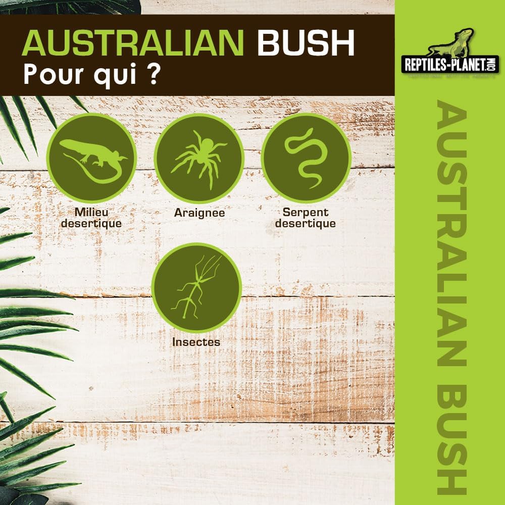 Reptiles Planet - Australian Bush - Artificial Plant - Terrarium Decoration - 8 x 7 x 34 cm