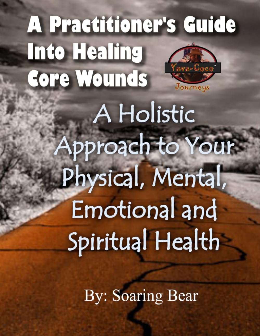 A Practitioner's Guide: Into Healing Core Wounds (Sustainable Holistic Healing)