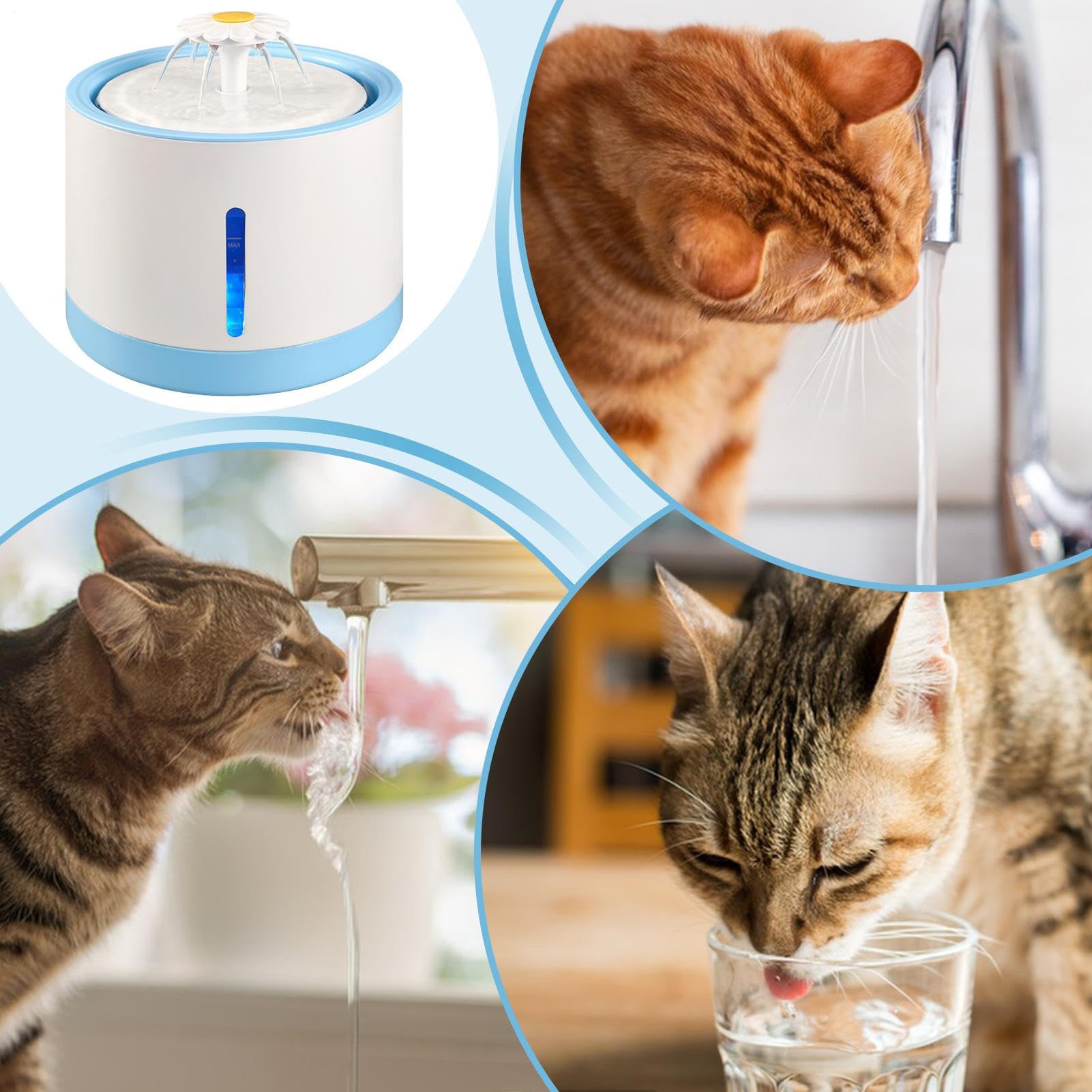 Dispensador de agua para perros Recargable
