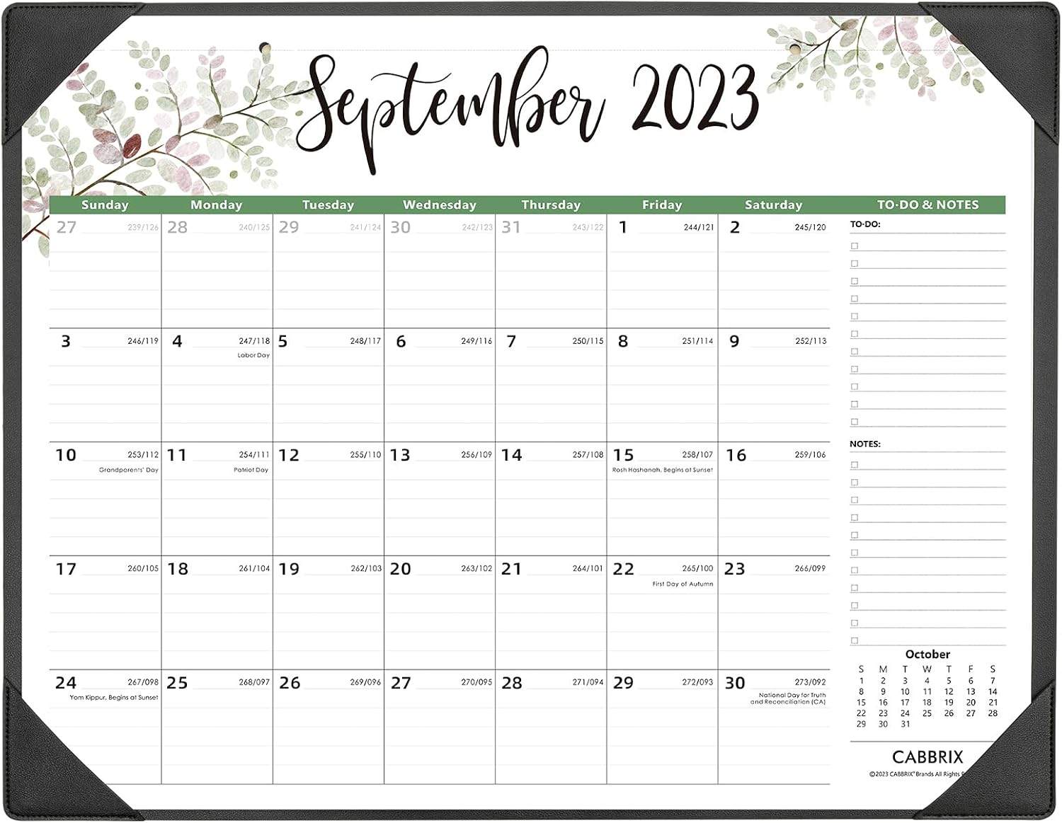 Large Desk Calendar 2023-2024 with Office Desktop Mat, Cabbrix Desk Pad Calendar 22 x 17 Inch Runs From Now to Dec 2024, Desk Blotter Academic Calendar 2023-2024 for Home School and Office