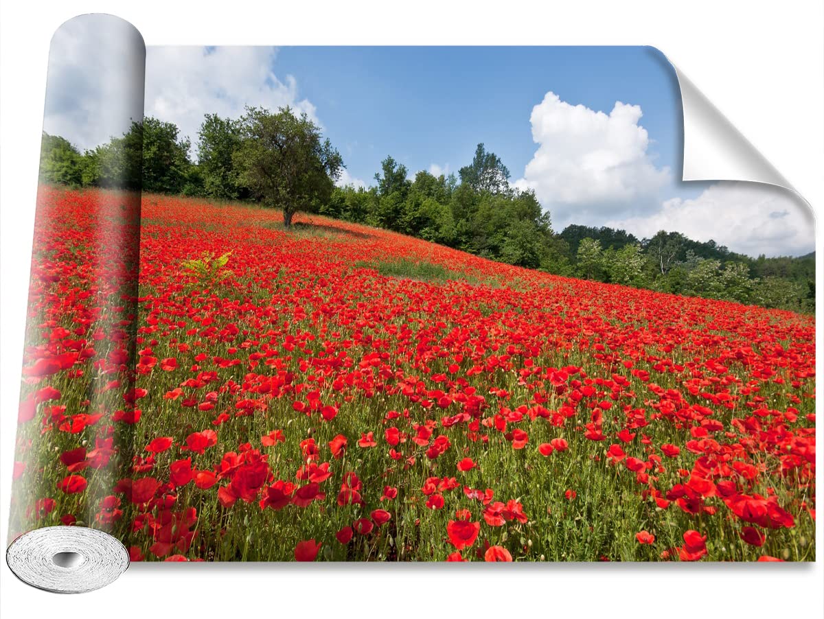 Papier peint coquelicots 208x146cm pour salon et décoration maison