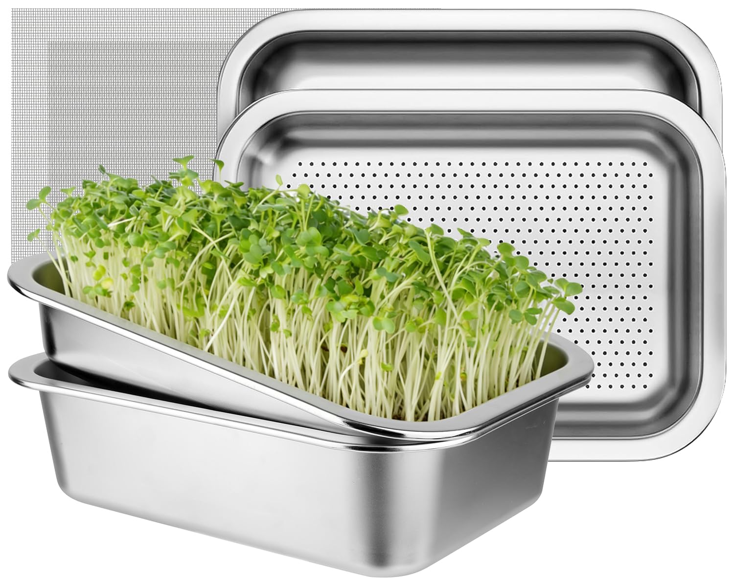 Set di 2 ciotole per germogli in acciaio inox per germogli, 26 x 19 cm, seed sprouter vassoio, set per la coltivazione di serre, ciotole per crescione, ciotole per germogli, microgreens