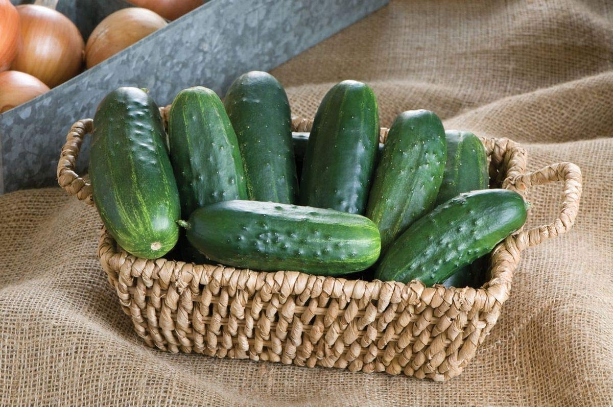 Amazon.com : Jackson Classic F1 Hybrid Cucumber Seeds-High