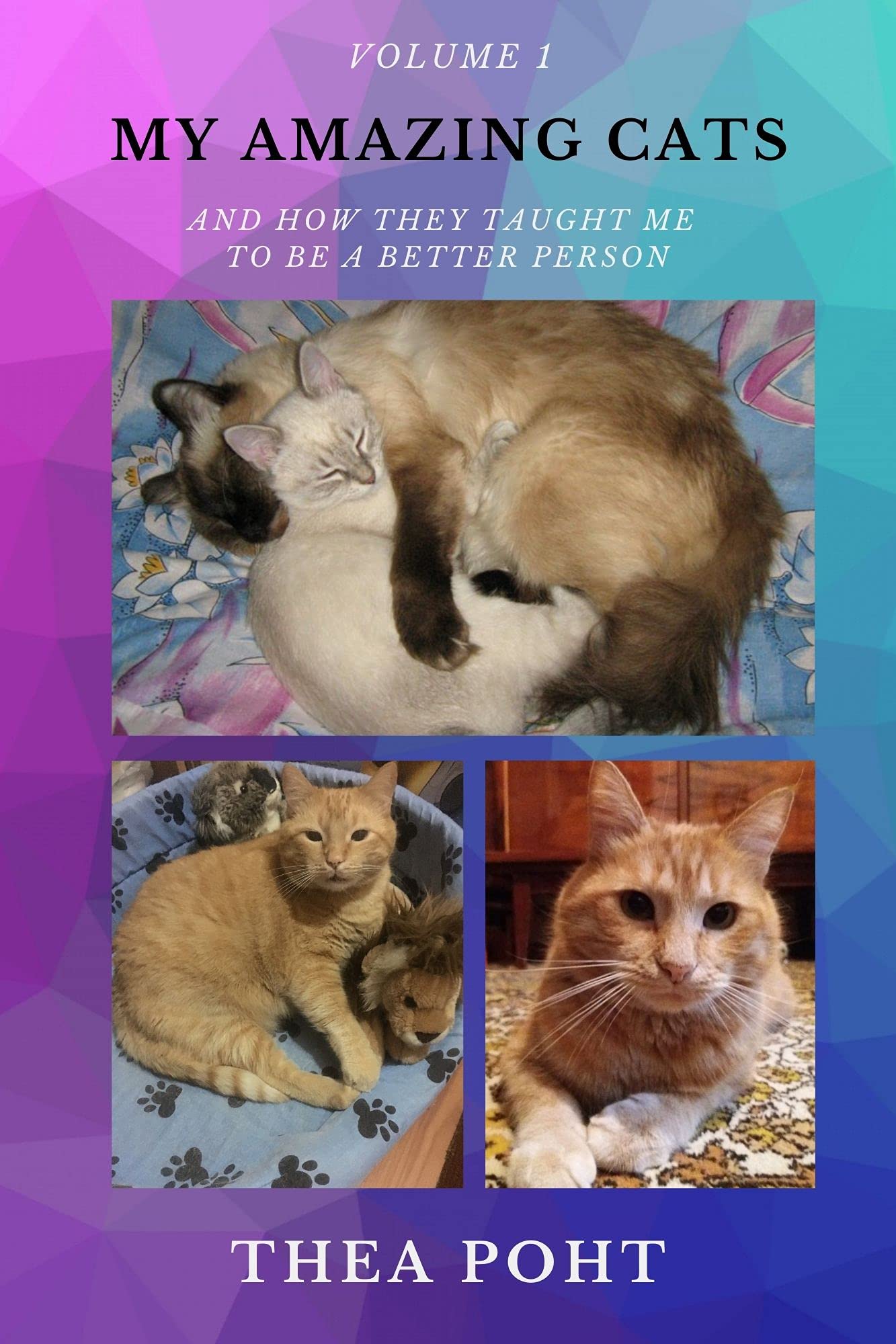 MY AMAZING CATS: And how they taught me to be a better person (MY AMAZING CATS COLLECTION - THE STORIES Book 1)