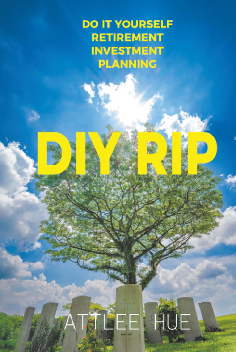 DIY RIP: Do It Yourself Retirement Investment Planning