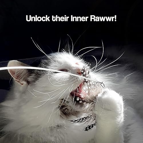 Miniatura 6 de Juego de juguetes de varita para gatos, 2 varitas de plumas con 4 recambios intercambiables, alambre flexible de 27 pulgadas y mango de madera,