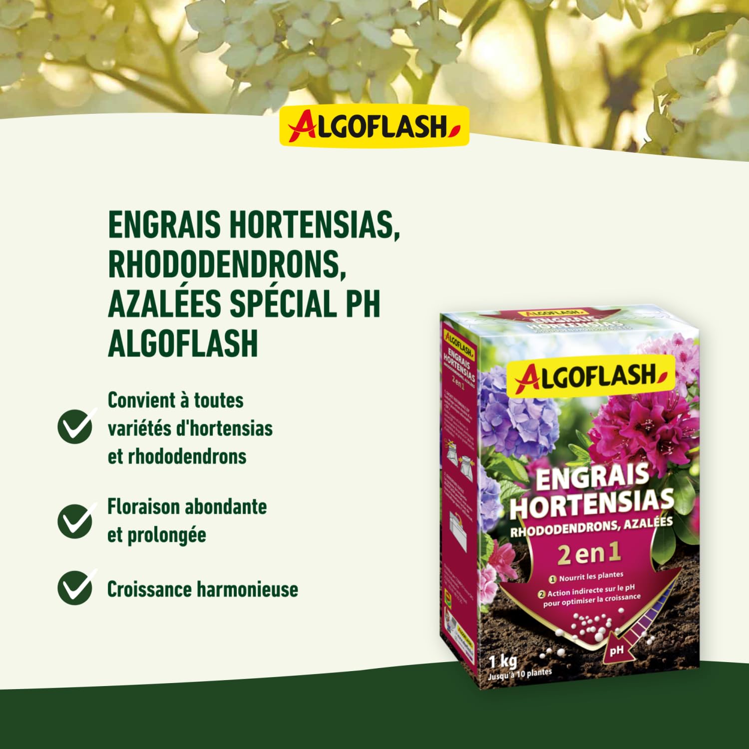 ALGOFLASH Engrais 2 en 1 pour Hortensias, Rhododendrons, Azalées Spécial pH, jusqu'à 10 Plantes, 1 kg, HORTOPH1N