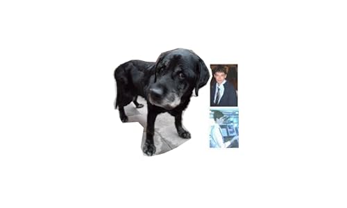 Andreas Klamm Journalist