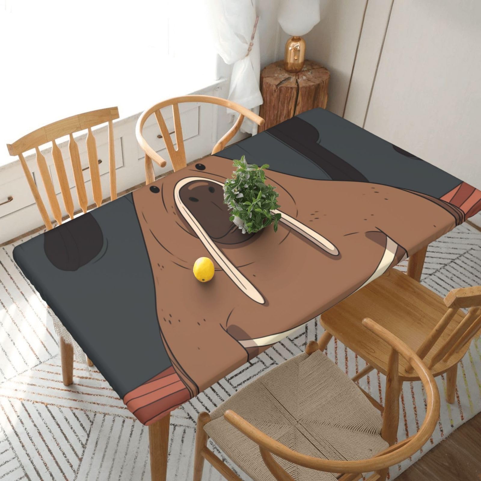 Nappe élastique ajustée imperméable Walrus, la protection anti-taches pour vos repas en terrasse