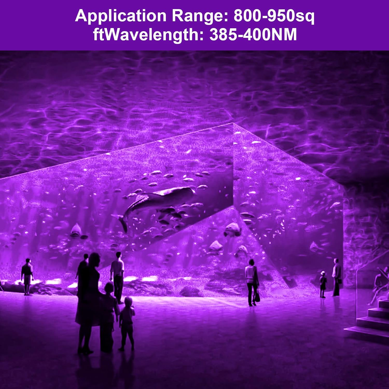 100W Black Light, LED Black Lights for Glow Party with IP66 Waterproof, US Plug, Outdoor Blacklight for Halloween, Party, Stage Lighting, Body Paint, Aquarium, Fluorescent Poster Decor