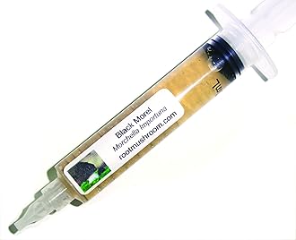 Root Mushroom Farm-Mushroom Liquid Cultures/Black Morel(Morchella importuna)