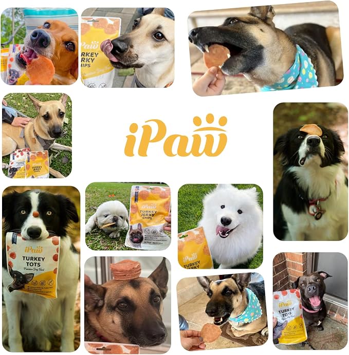 iPaw Soft Cat Treats for Indoor Cats, Healthy Kitten Snacks with Probiotics, Grain Free, Easy to Digest (Chicken and Cranberry) miniatura 7