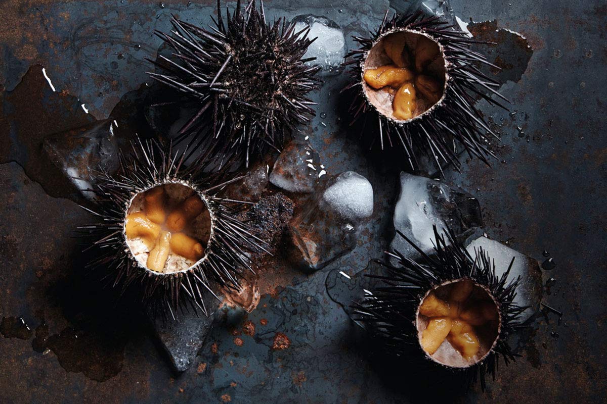 Poseidon Œufs d’oursin premium 55 g – Uni méditerranéen – Délicatesse italienne – 100 % naturel, sans conservateurs, GMO Free