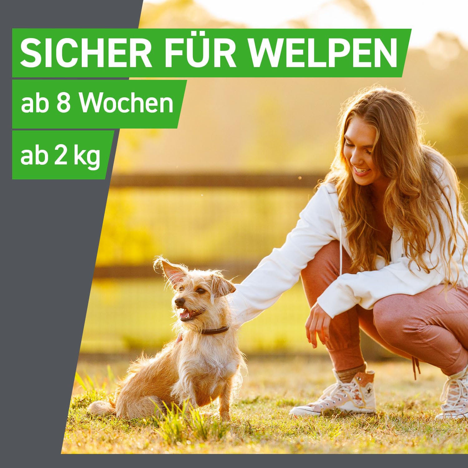 FRONTLINE Combo Hund M gegen Zecken, Flöhe & Haarlinge (10 bis 20 kg) | 3x Pipetten (3er Pack) für bis zu 9 Monate Schutz - gegen Floheier, Larven & Puppen im Haushalt - wasserfest
